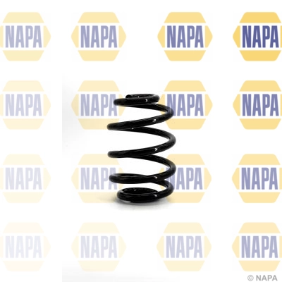 Suspension Spring (NCS1146)