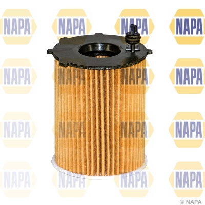 Oil Filter (NFO3075)