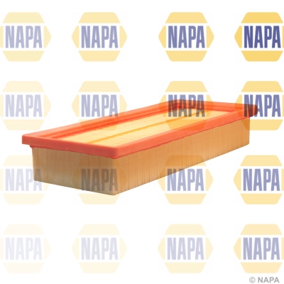 Air Filter (NFA1077)