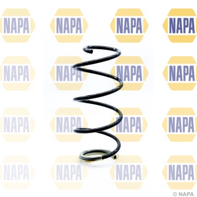 Suspension Spring (NCS1276)