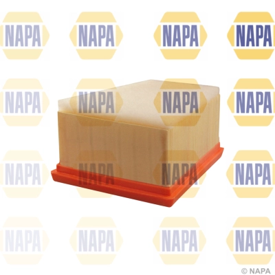 Air Filter (NFA1036)