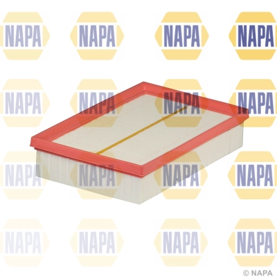 Air Filter (NFA1421)
