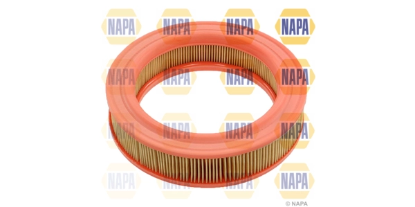 Air Filter (NFA1419)