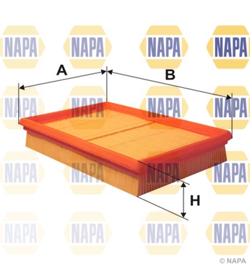 Air Filter (NFA1150)
