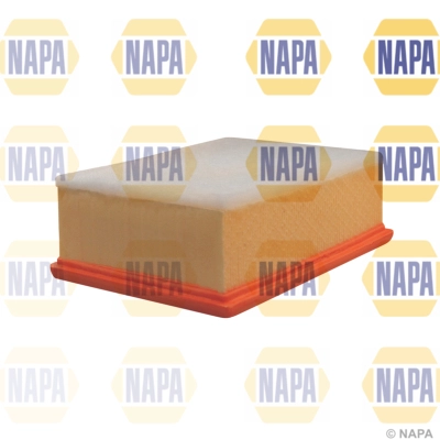 Air Filter (NFA1043)
