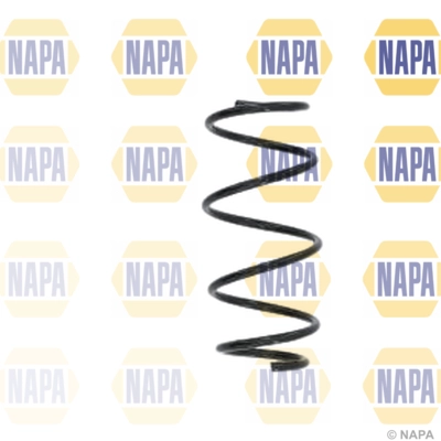 Suspension Spring (NCS1625)