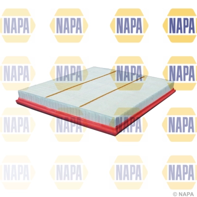 Air Filter (NFA1245)