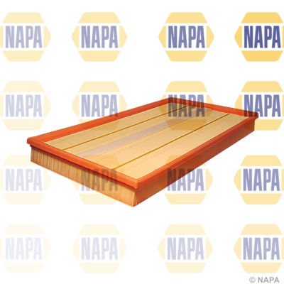 Air Filter (NFA1091)