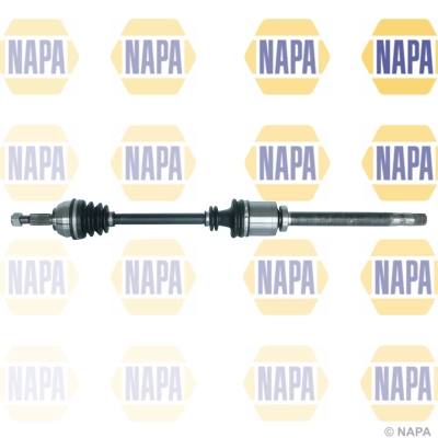 Drive Shaft (NDS1256R)