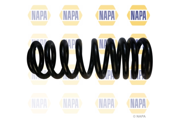 Suspension Spring (NCS1769)