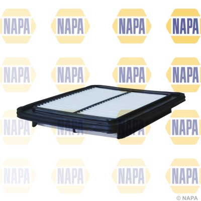 Air Filter (NFA1194)