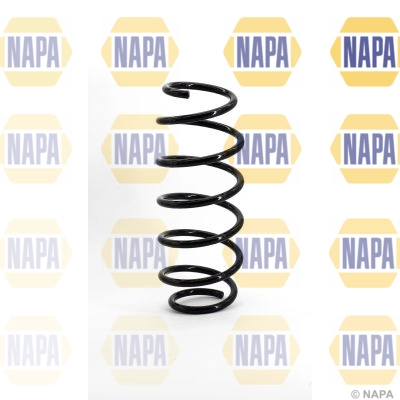 Suspension Spring (NCS1081)