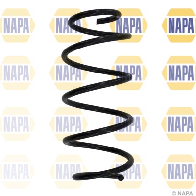 Suspension Spring (NCS1061)