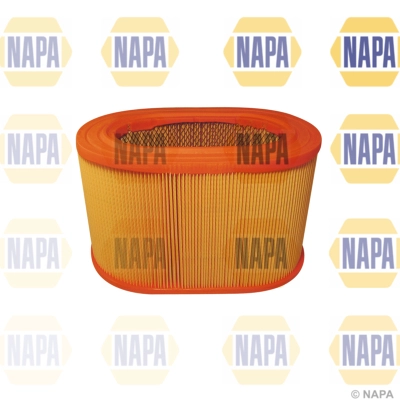 Air Filter (NFA1373)