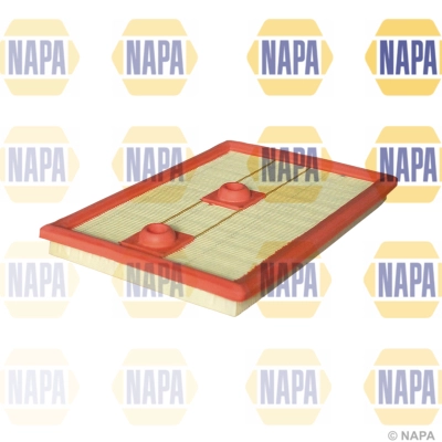 Air Filter (NFA1251)
