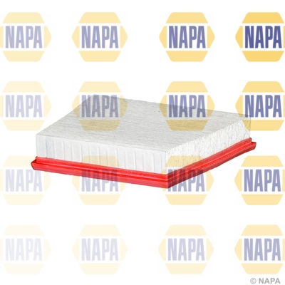 Air Filter (NFA1463)