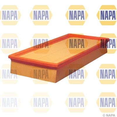 Air Filter (NFA1388)
