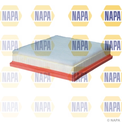 Air Filter (NFA1237)