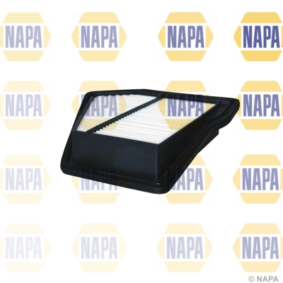 Air Filter (NFA1213)