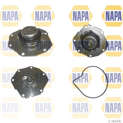 Water Pump, engine cooling (NWP1539)