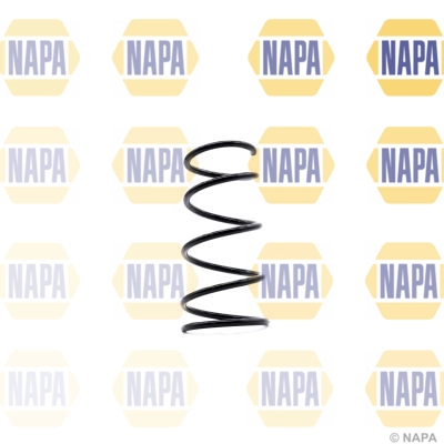 Suspension Spring (NCS1367)
