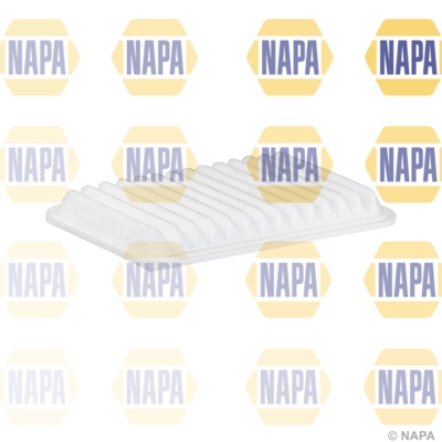 Air Filter (NFA1424)