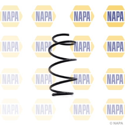Suspension Spring (NCS1366)