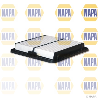 Air Filter (NFA1225)