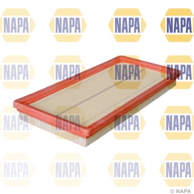 Air Filter (NFA1389)