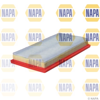 Air Filter (NFA1230)