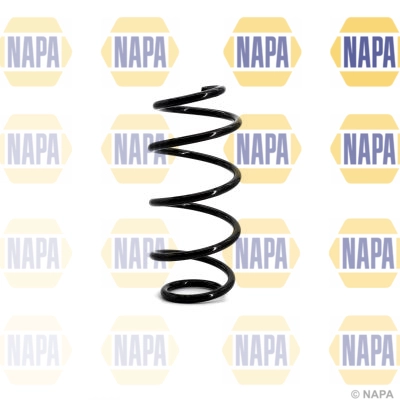 Suspension Spring (NCS1098)