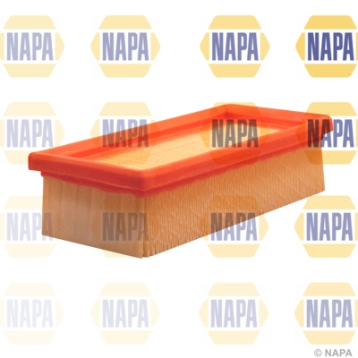 Air Filter (NFA1351)