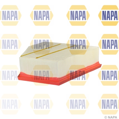 Air Filter (NFA1438)