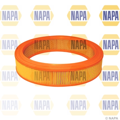 Air Filter (NFA1020)