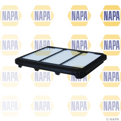 Air Filter (NFA1376)