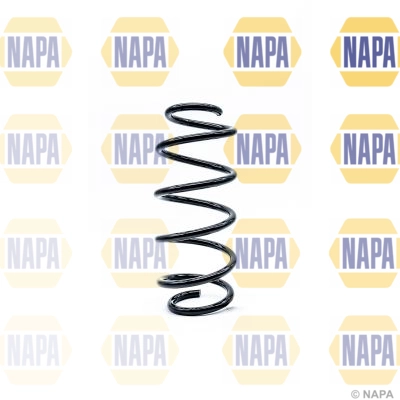 Suspension Spring (NCS1198)