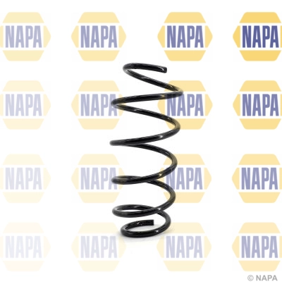 Suspension Spring (NCS1078)