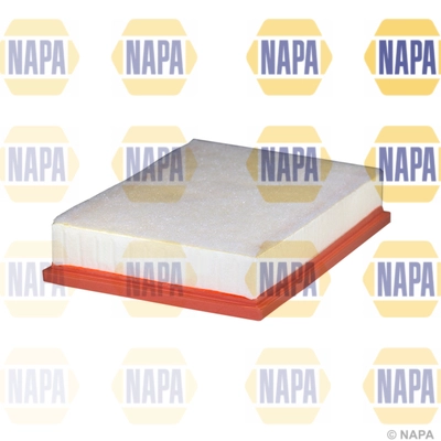 Air Filter (NFA1287)