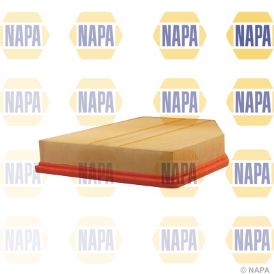 Air Filter (NFA1118)