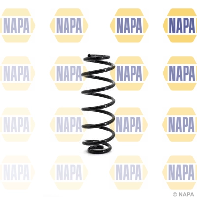 Suspension Spring (NCS1134)