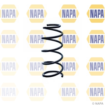 Suspension Spring (NCS1269)