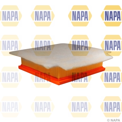 Air Filter (NFA1141)