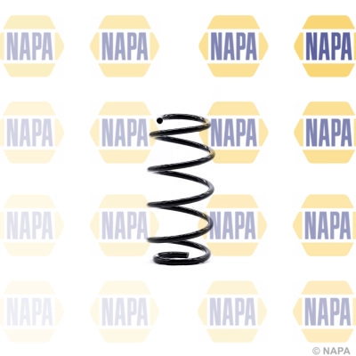 Suspension Spring (NCS1363)