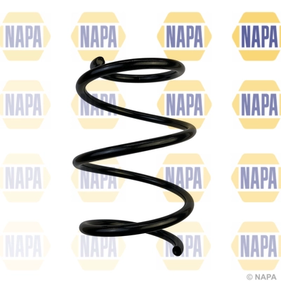 Suspension Spring (NCS1685)