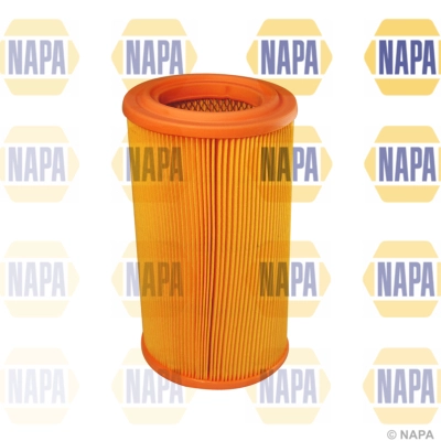 Air Filter (NFA1313)
