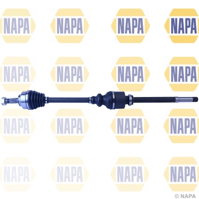 Drive Shaft (NDS1095R)