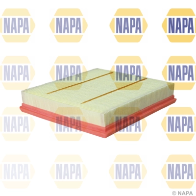 Air Filter (NFA1242)