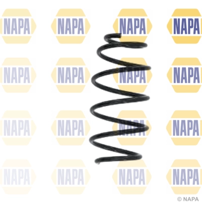 Suspension Spring (NCS1599)