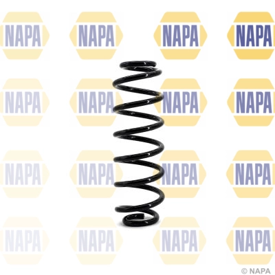 Suspension Spring (NCS1139)