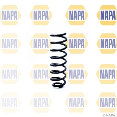 Suspension Spring (NCS1267)